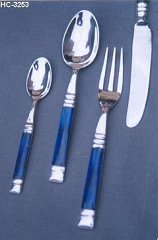 Cutlery with Plastic handles